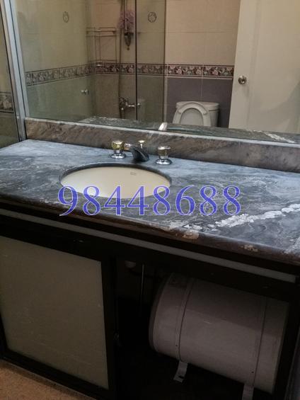 Emerald Park (D3), Condominium #123773652